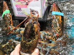 -盒马鲜生(曜一城店)