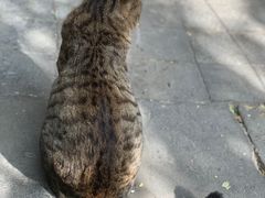 -万松老人塔