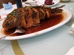 -金春禧(英雄山路旗舰店)