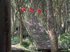 -富春桃源风景区