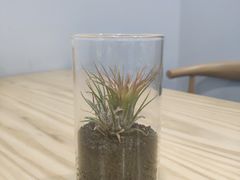 -暮蝉冰粉