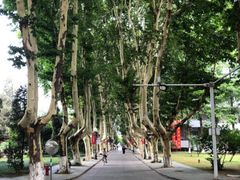 -南京航空航天大学(明故宫校区)