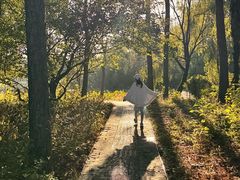 -昆山城市生态森林公园