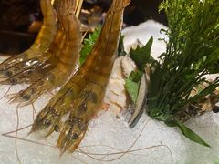 -揽季锅物会·海鲜姿造(三坊七巷店)