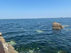 -养马岛旅游度假区