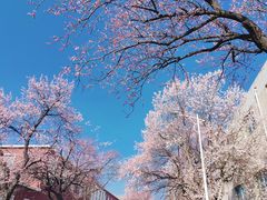 -吉林大学(南岭校区)