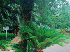 -华南国家植物园-售票处