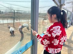 -盐城丹顶鹤湿地生态旅游区
