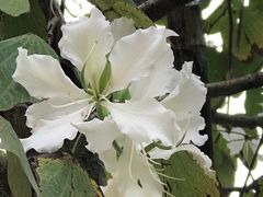 -田心森林公园