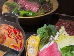 -大龙燚·旷野鲜火锅(广州首店)