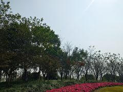 -径山花海