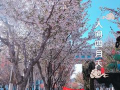 -国家动漫园