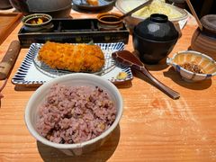 -堂本家洋食别馆·炸猪排(中心城店)