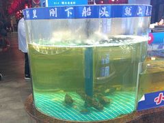 -鱼满舱·鲜活海鲜·正宗鲁菜