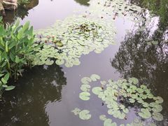 -宁波九龙湖开元度假村