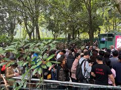 -韶山毛泽东同志故居