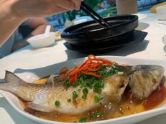 酸梅蒸马友-蛇口康乐快餐鱼仔档(翠苑小区店)