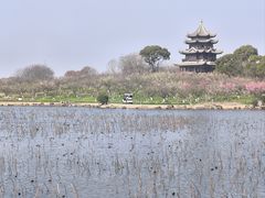 -上海海湾国家森林公园