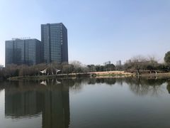 -杭州城北体育公园