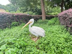 -无锡海洋馆