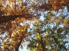 -国家植物园南园