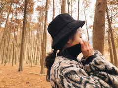 -小芝红树林