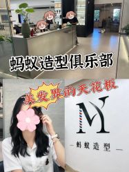 -蚂蚁造型俱乐部