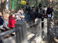 -野蔓果·山野菜(西湖景区·龙井茶田店)