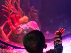 -沈阳海洋探索中心