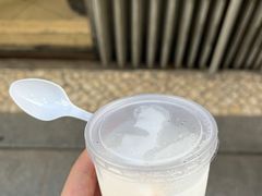 -洪馨椰子