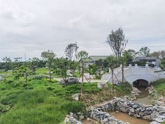 -王借岗森林公园