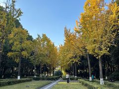 -苏州河梦清园环保主题公园