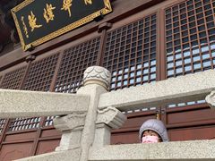 -杭州半山国家森林公园