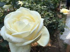 -人民公园(罗湖区)