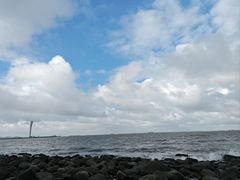 -吴淞炮台湾湿地森林公园烧烤区
