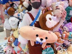 -LLJ夹机占(清河万象汇店)