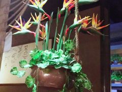 -云海肴·汽锅鸡·云南菜(天津国金汇店)