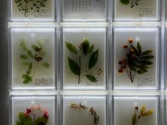 -广东中医药博物馆