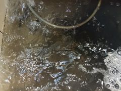 -老船夫石锅苗苗鱼·老字号(三道堰总店)