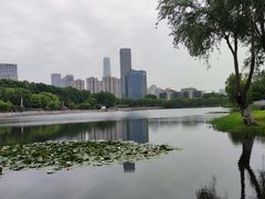 -后襄河公园