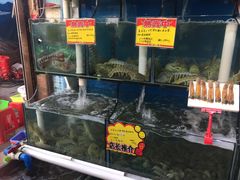 水产区-蚝专家(北滘店)