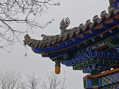 -雁滩公园