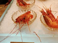 -半岛翡丽海鲜自助餐厅(观风亭店)