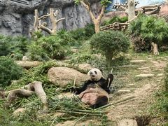 -石排湾郊野公园