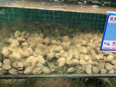 -范饭椰林川湘味海鲜·椰子鸡(三亚湾椰梦长廊店)