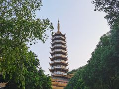 -仙岳公园