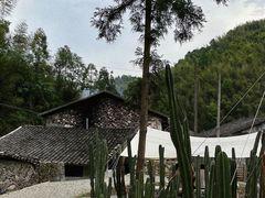 -MOJ coffee(瓯海泽雅水碓坑店)