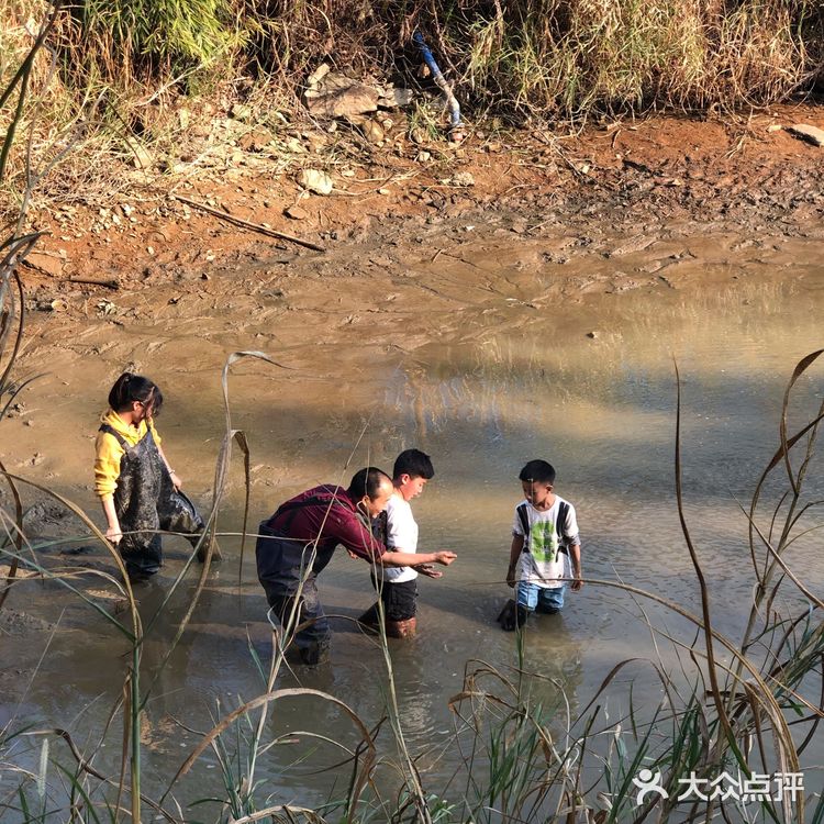 山塘水库摸鱼虾