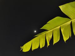 -天空花园餐吧·生日·团建(南山店)