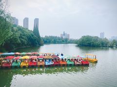 -沙市市中山公园